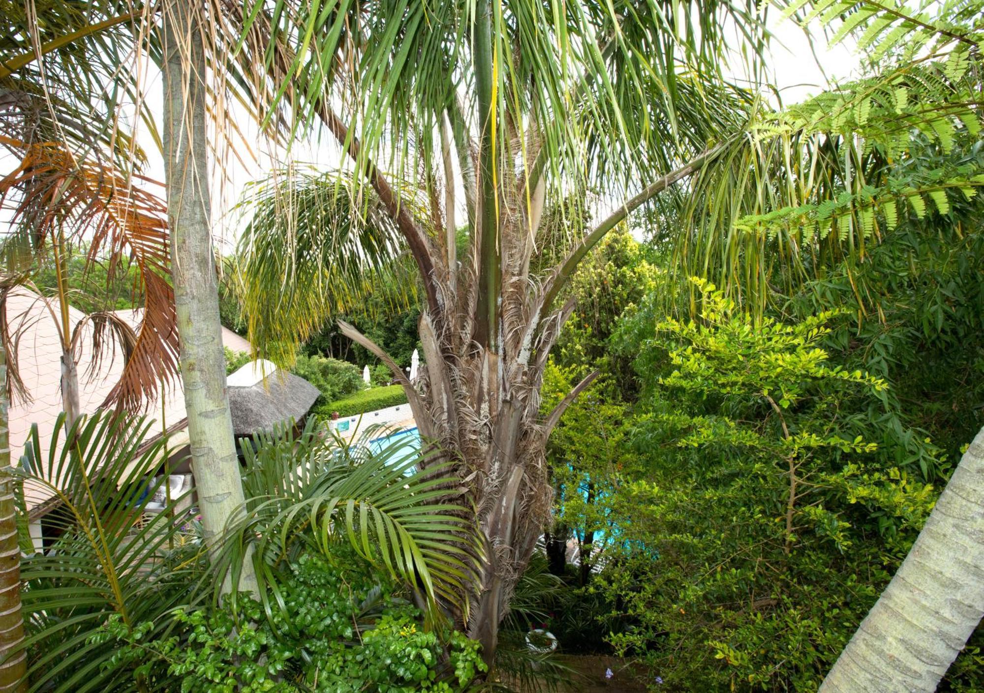 Hazelwood House Hotel Stellenbosch Buitenkant foto